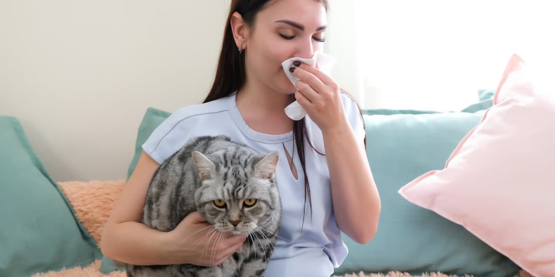 Alergia a Mascotas