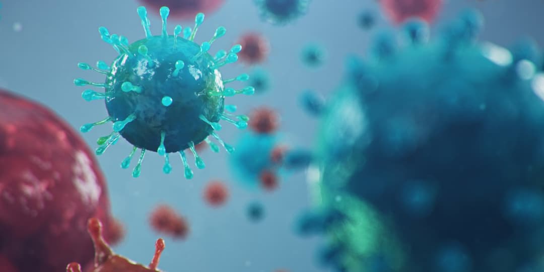 Diagnóstico y Tratamiento de Errores Innatos de la Inmunidad